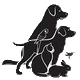  Animalerie 